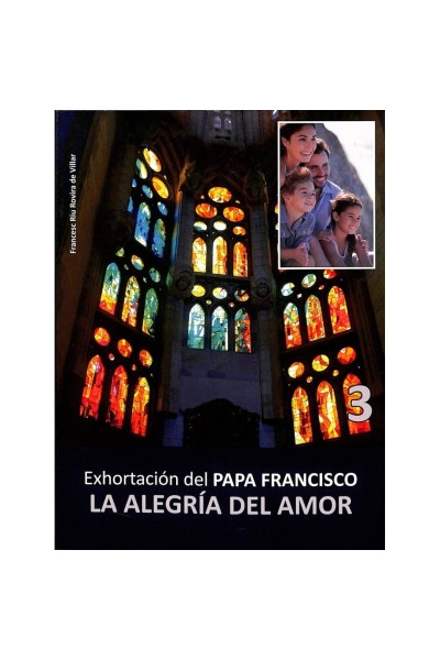 Exhortación del Papa Francisco: LA ALEGRÍA DEL AMOR III